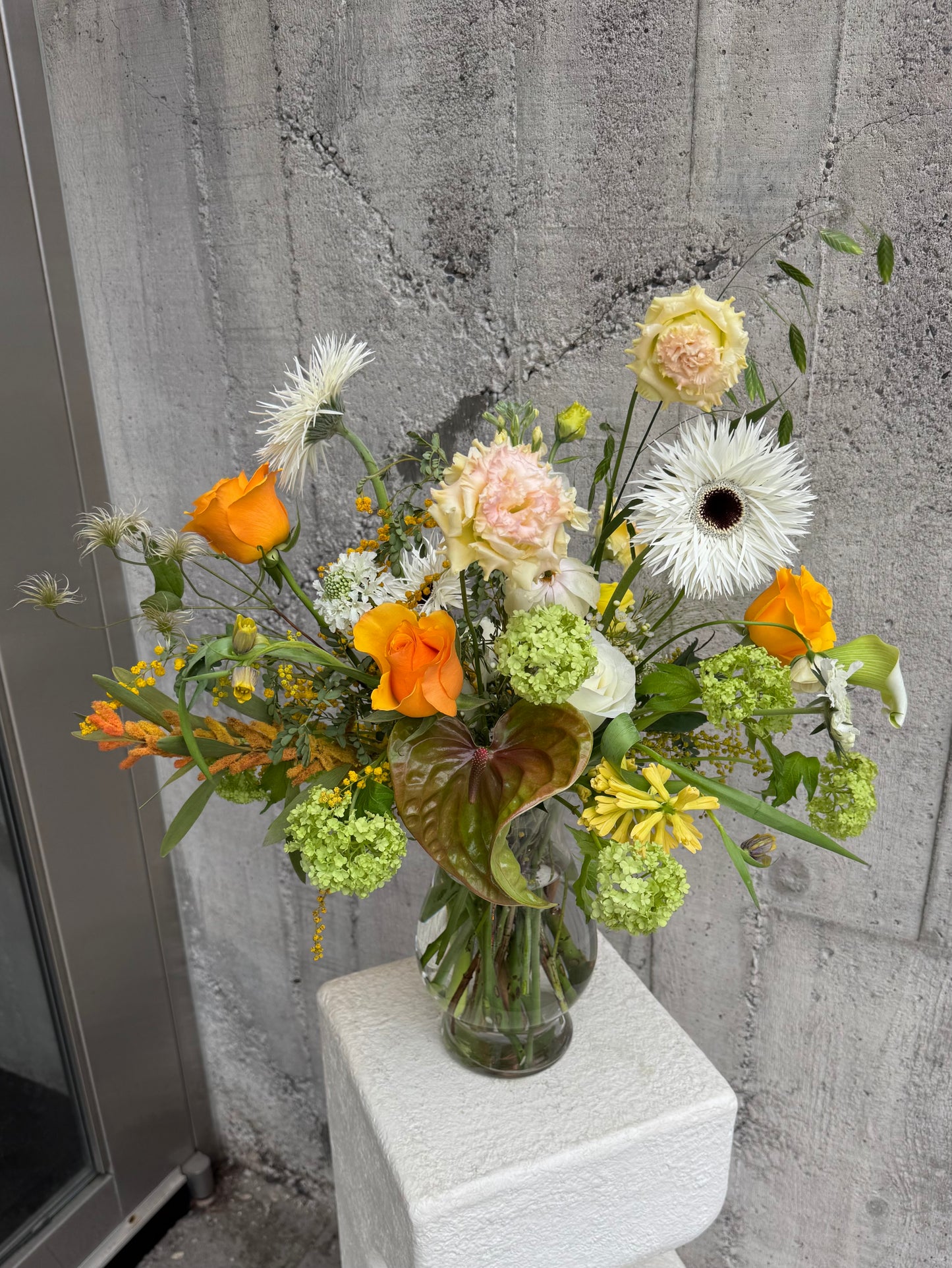 The Wild Bloom | Tall
