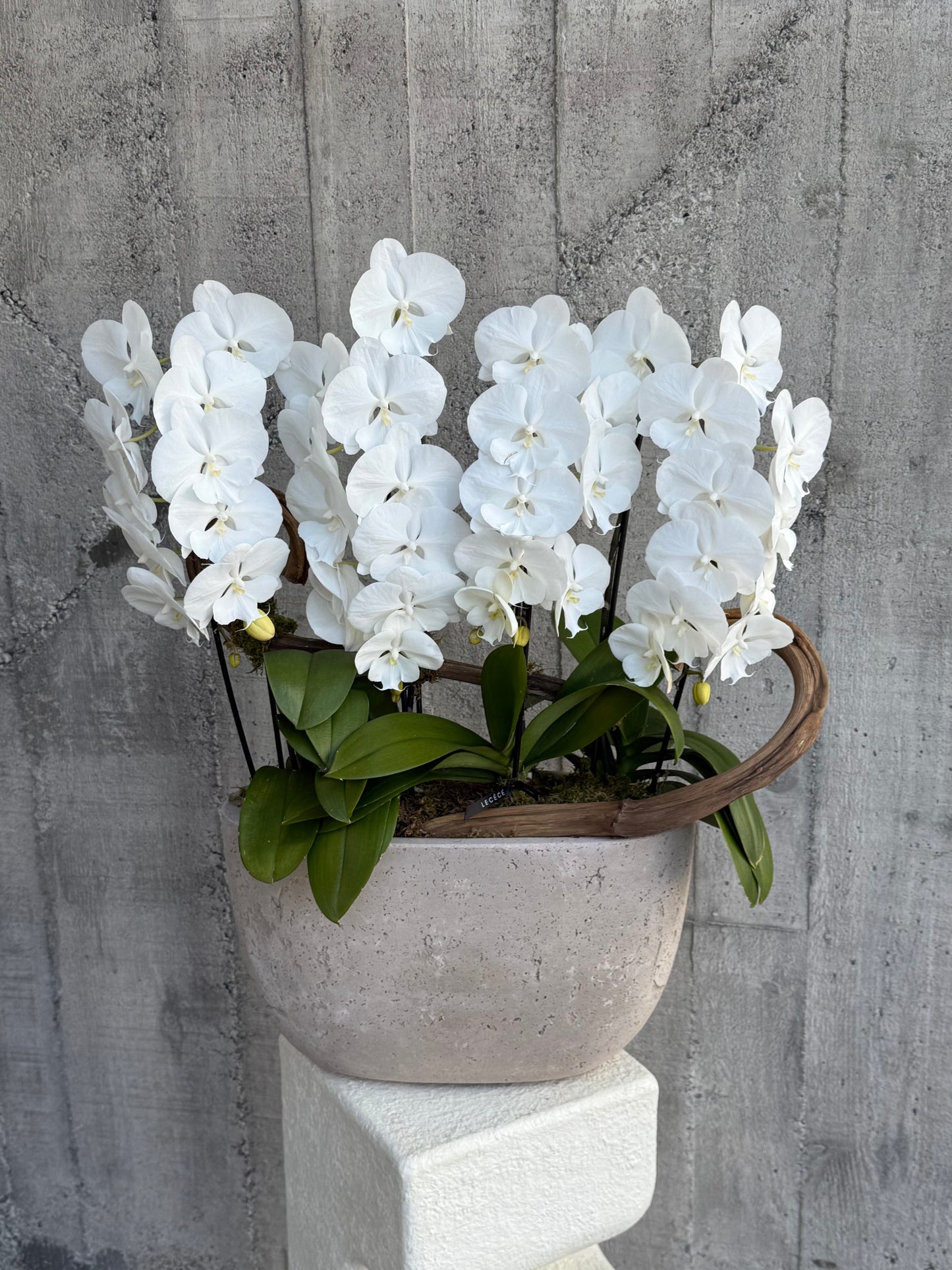 Orchid Object