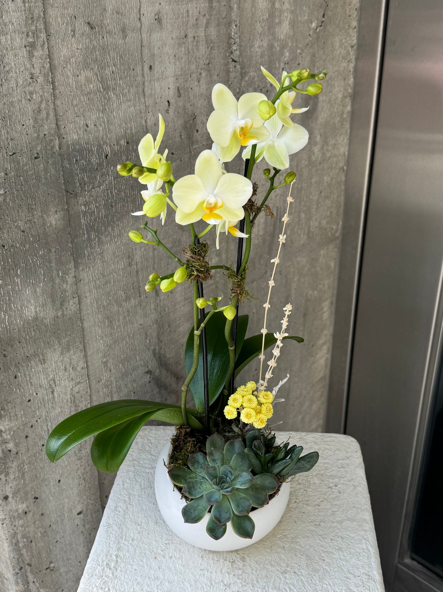 Citrine Grace