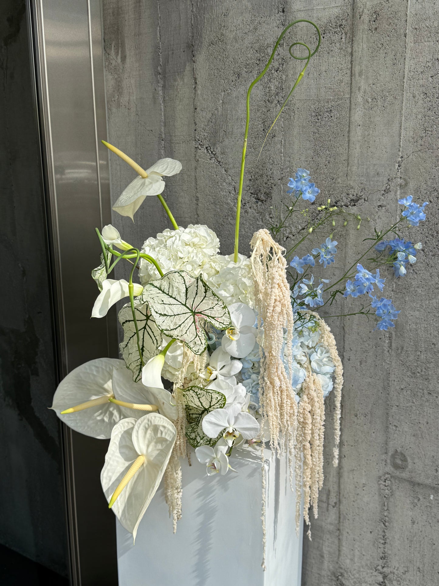 Designer’s Choice Arrangement