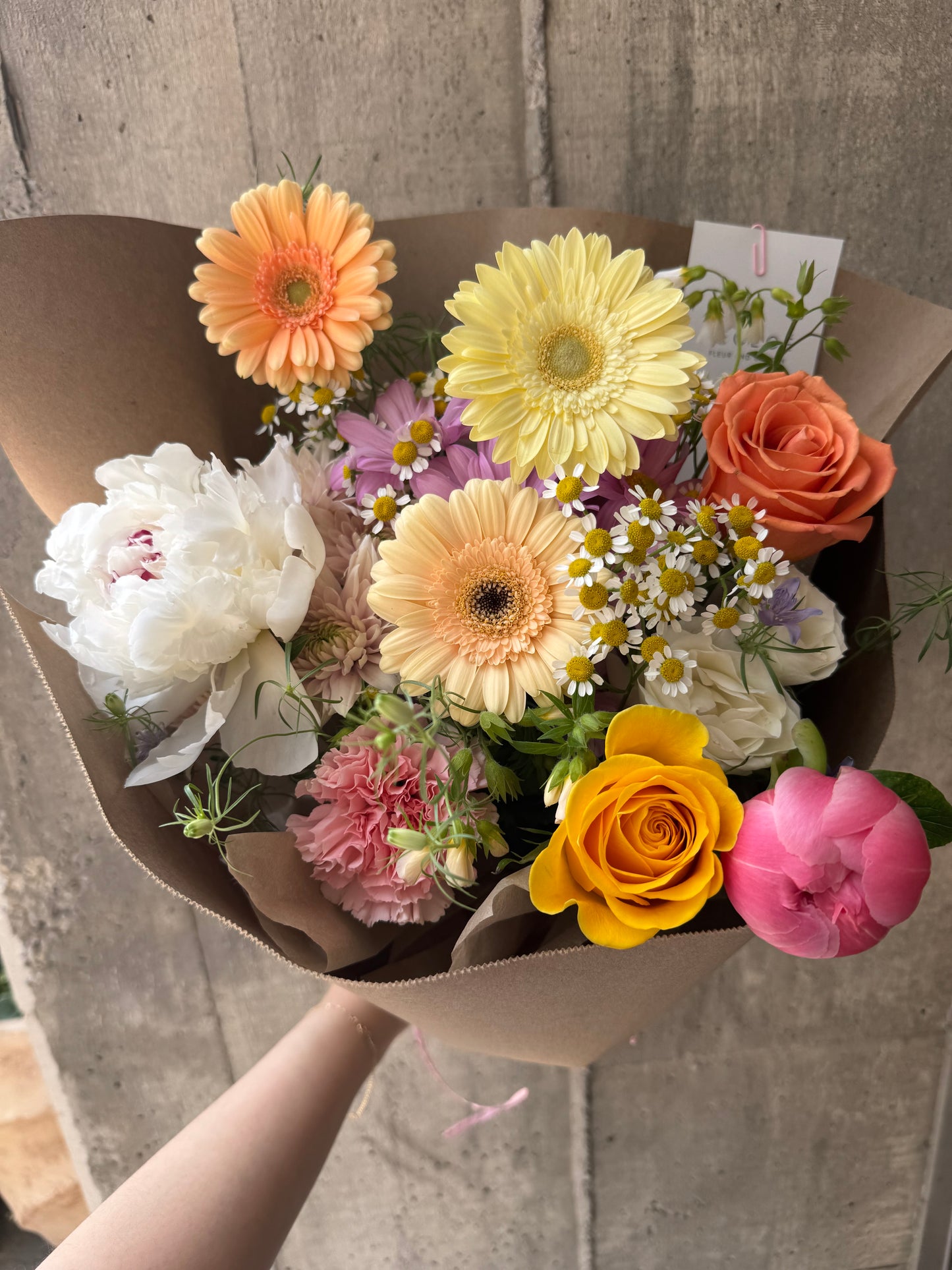 The Cutest | Seasonal Bloom