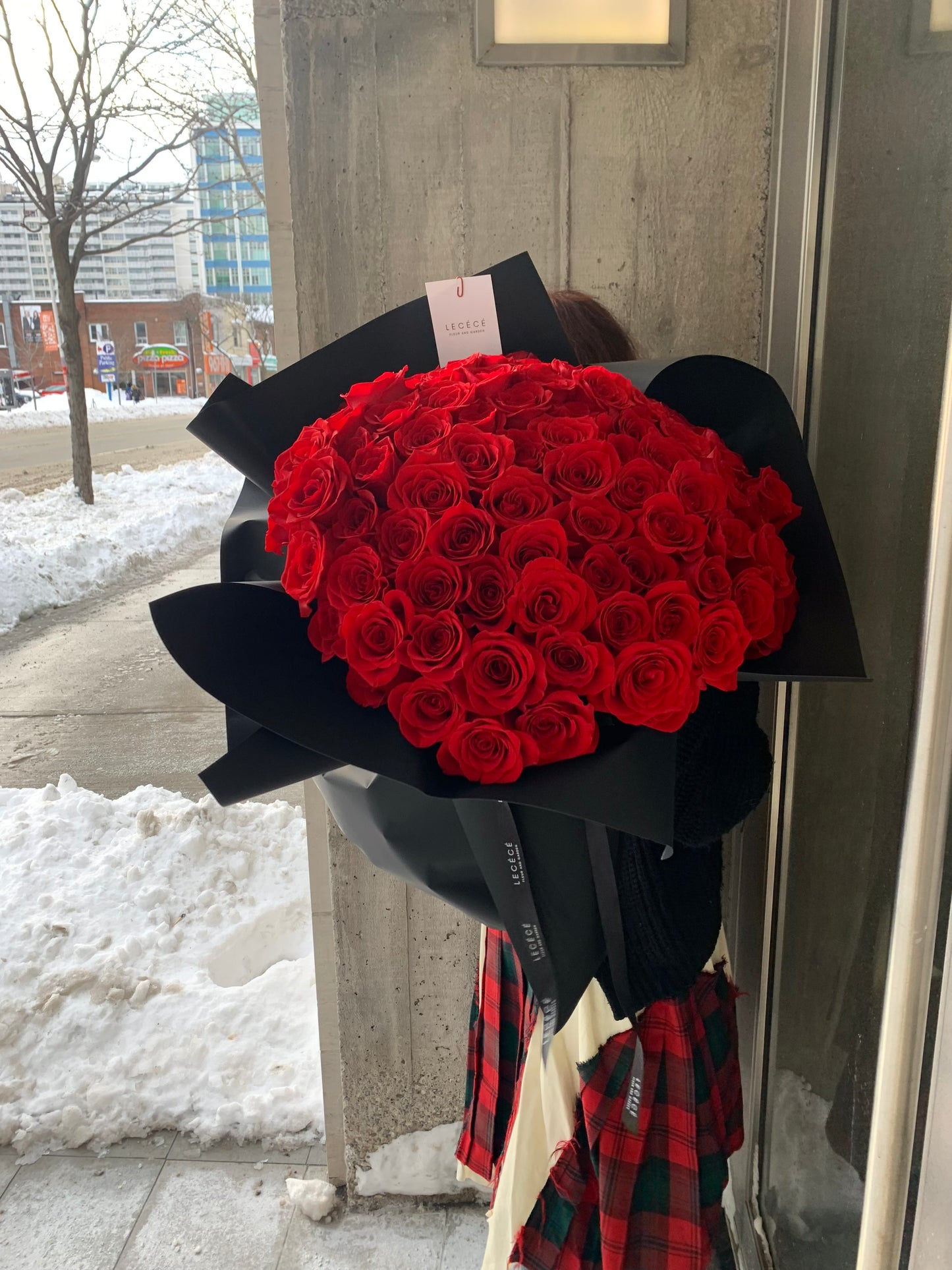 100 Premium Roses