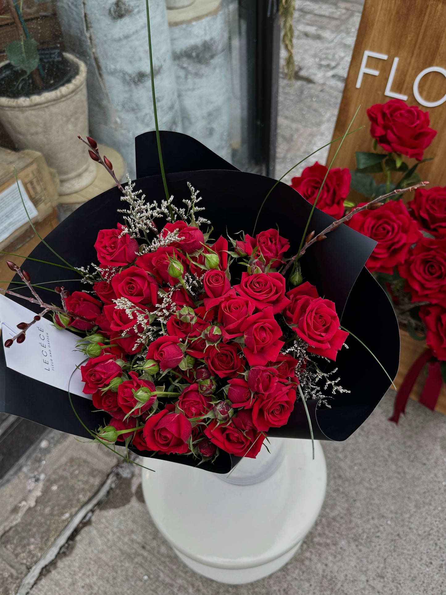 Rosé Noir
