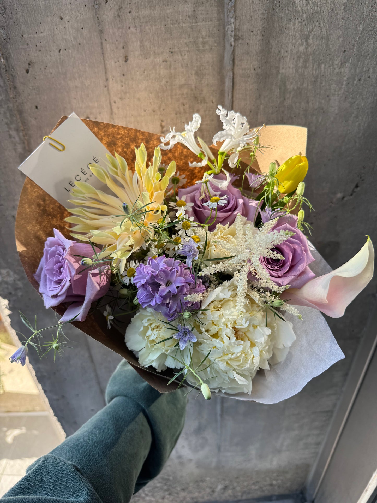 The Cutest | Seasonal Bloom
