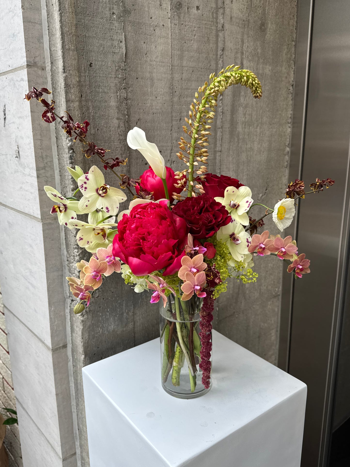 The Wild Bloom | Tall