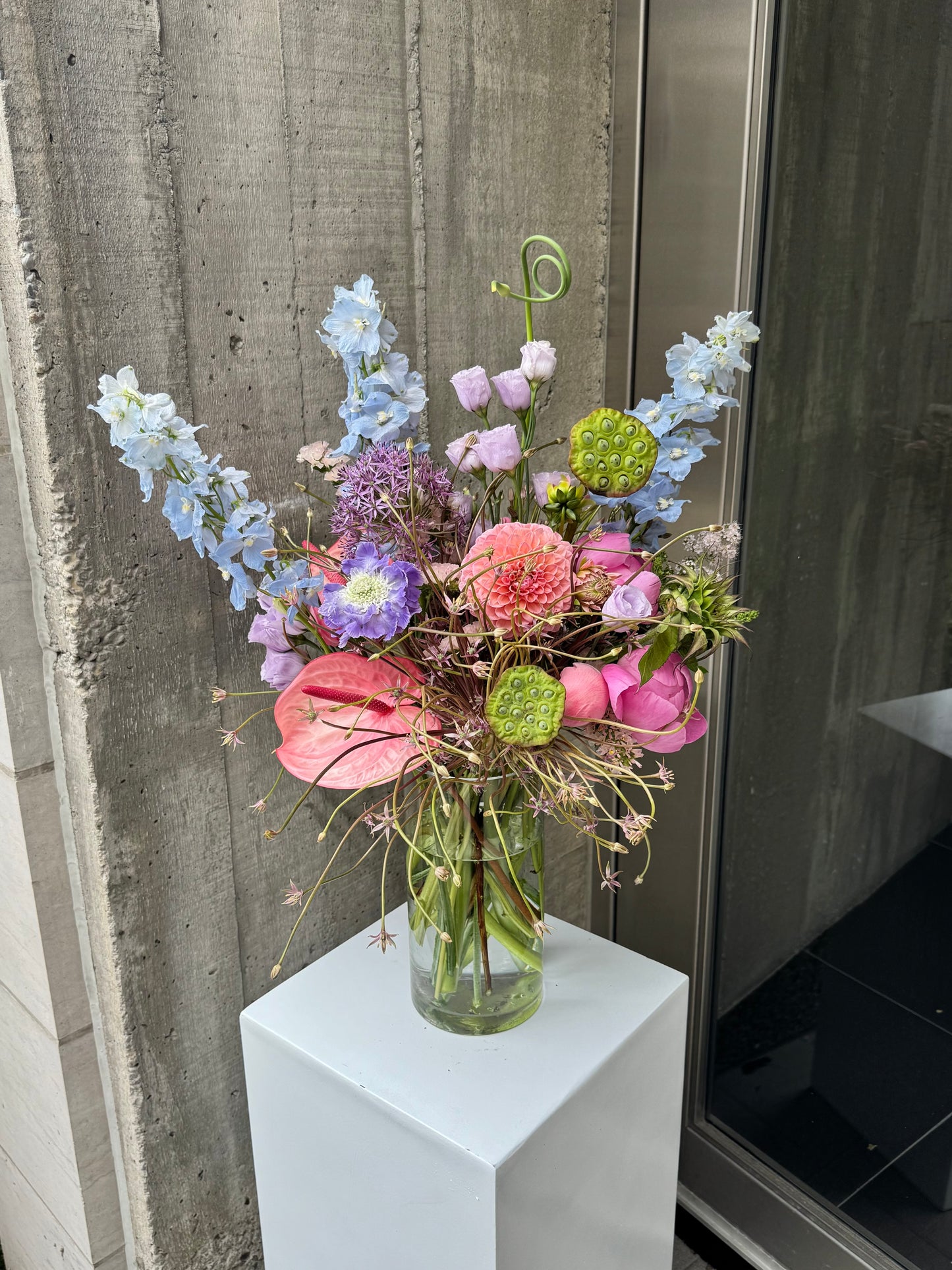 The Wild Bloom | Tall
