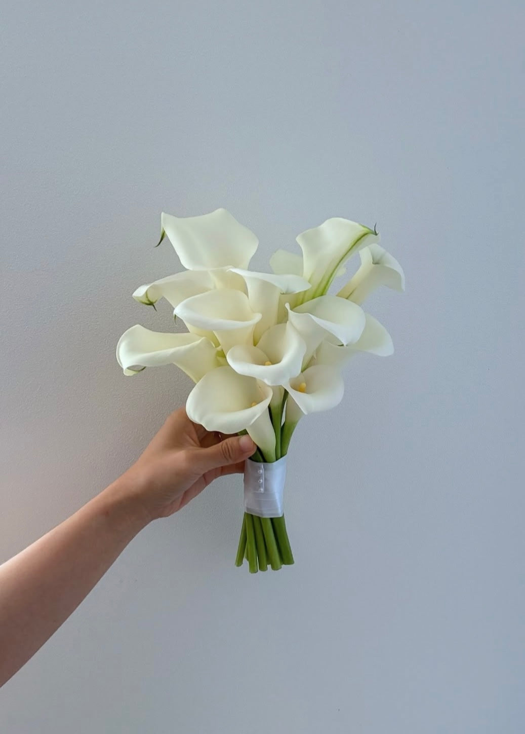 Classic Calla Lily