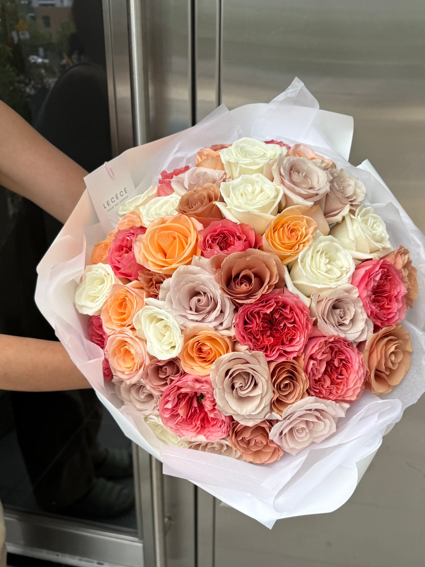 50 Premium Roses