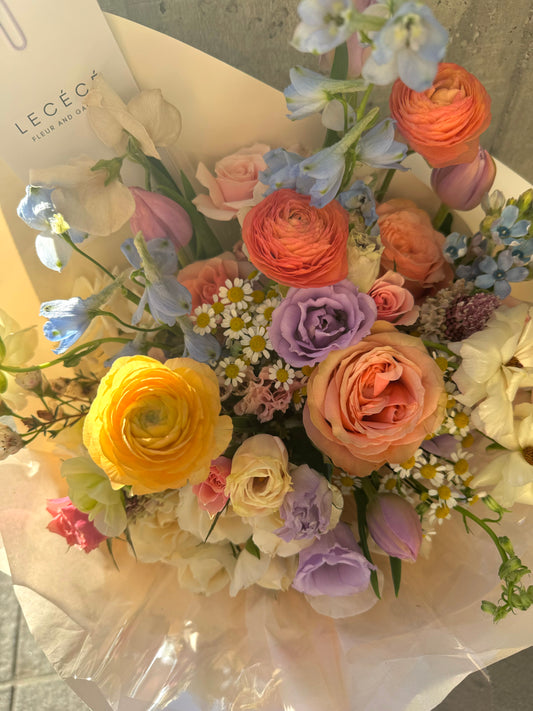 Pastel Dream
