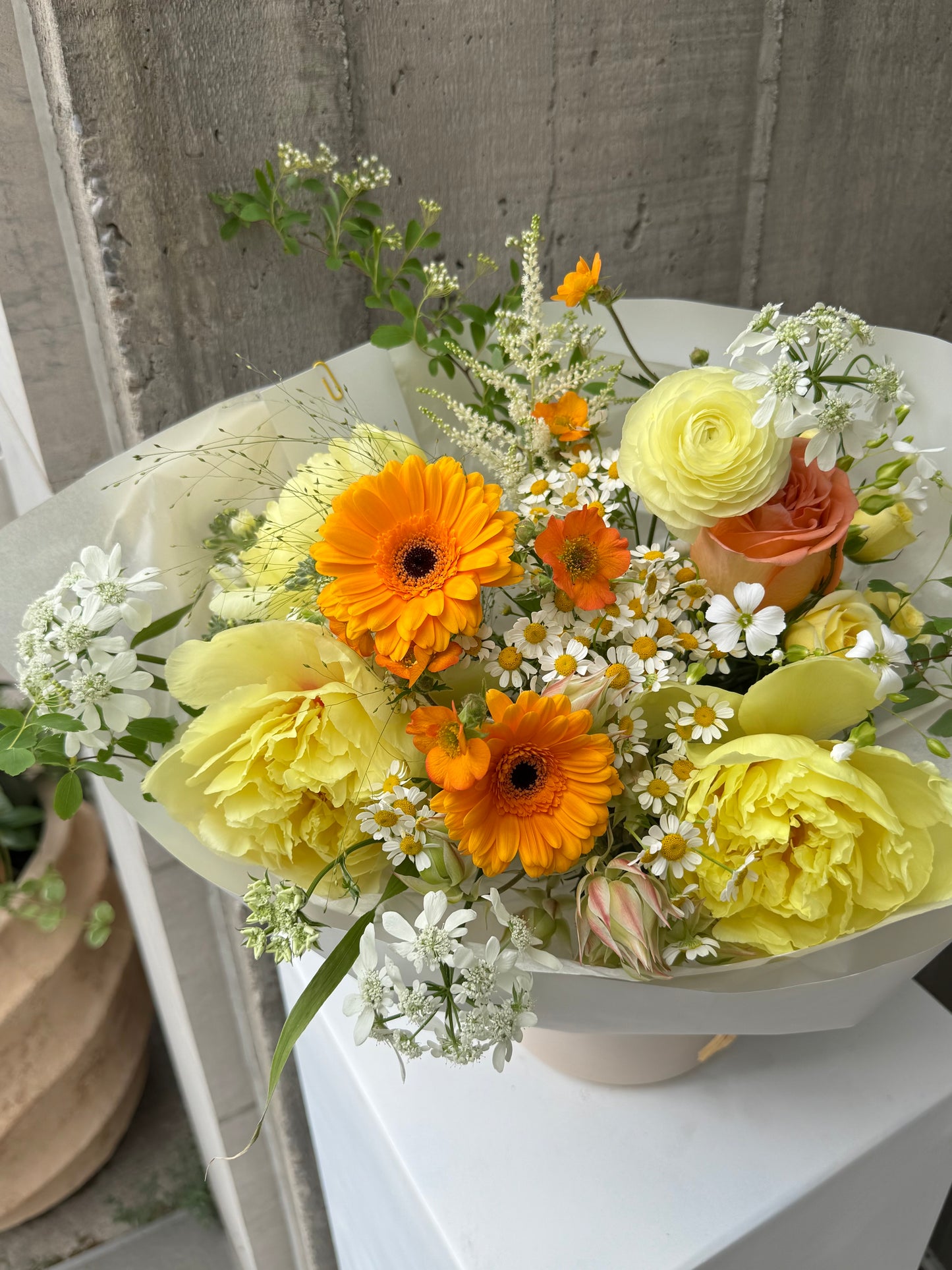 Summer Tangerine