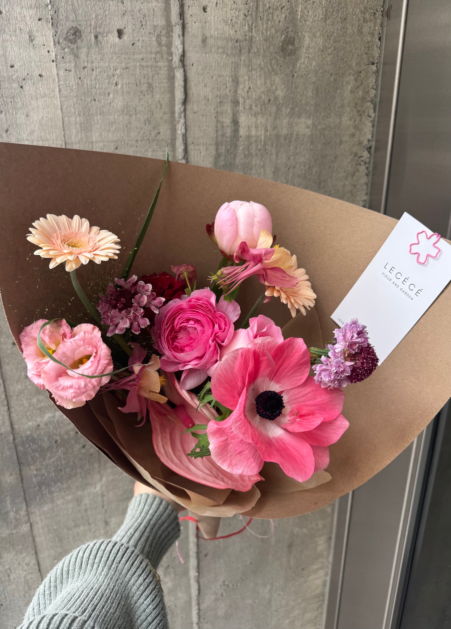 The Cutest | Seasonal Bloom