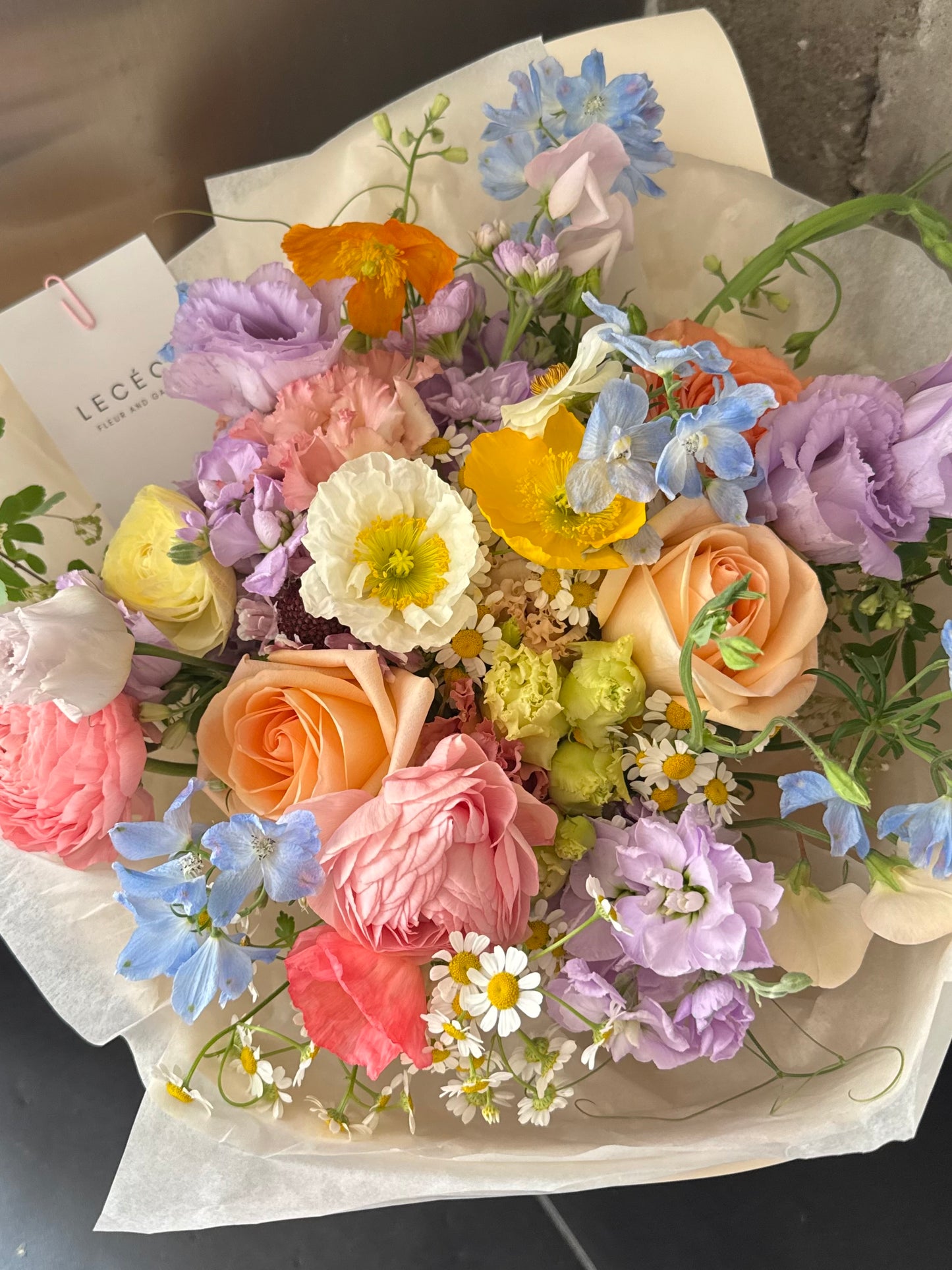 Pastel Dream