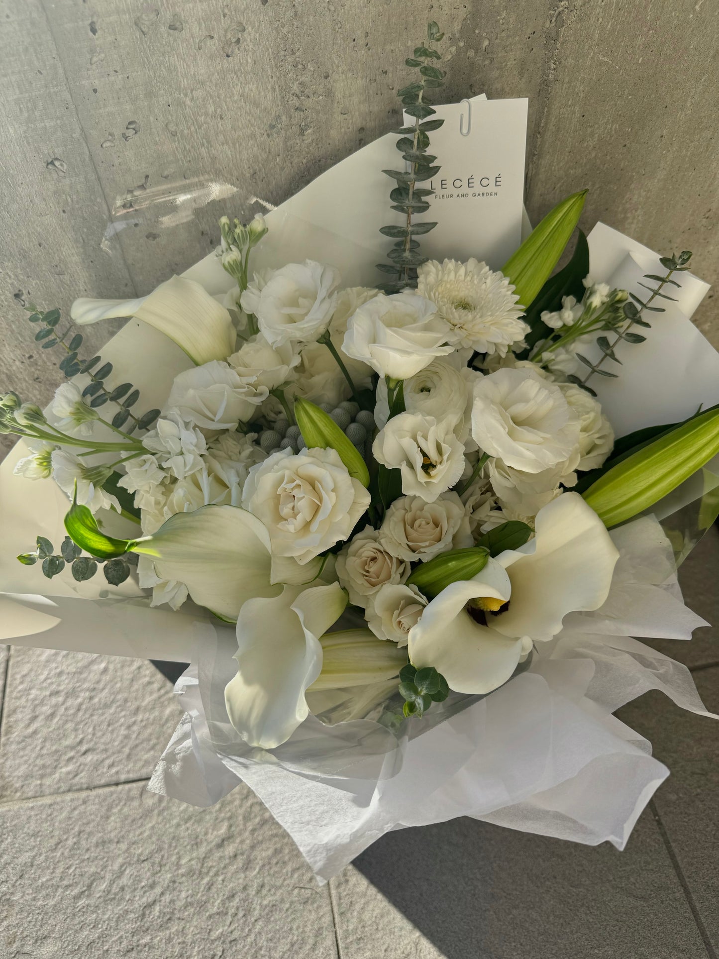 Elegant Cream