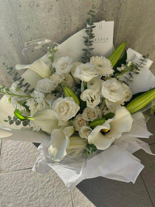 Elegant Cream