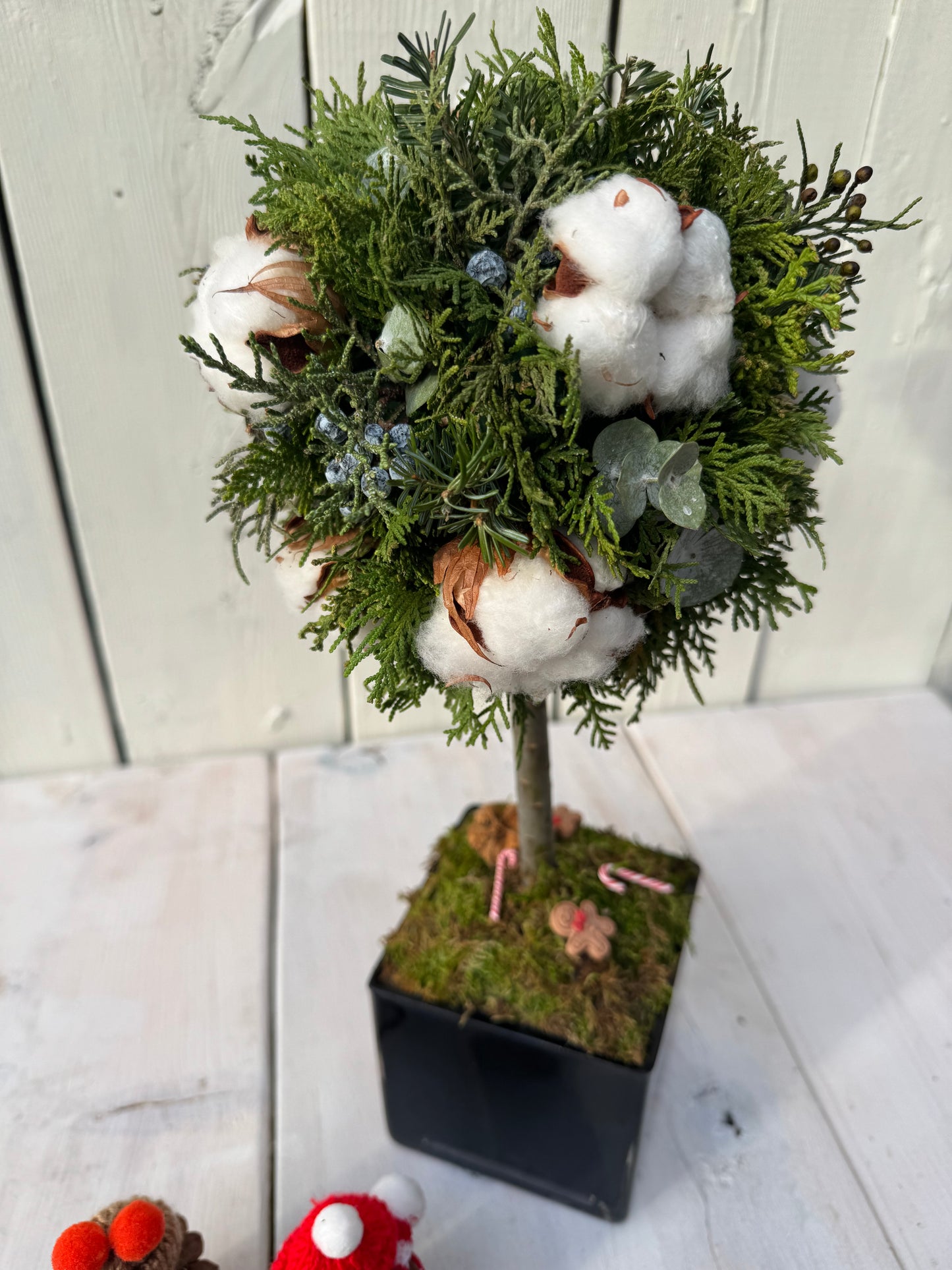 Real Winter Greens Topiary