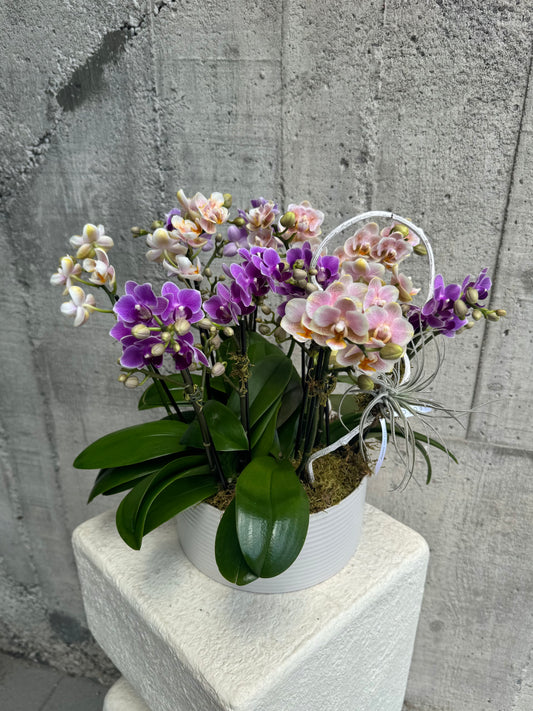 Opaline Charm