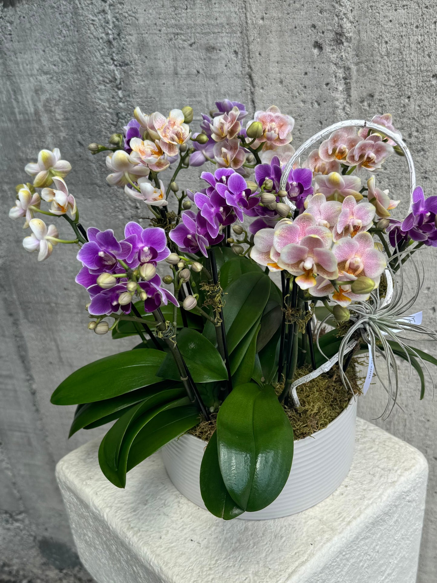 Opaline Charm