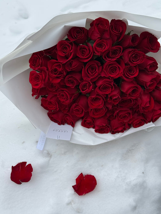 50 Premium Roses