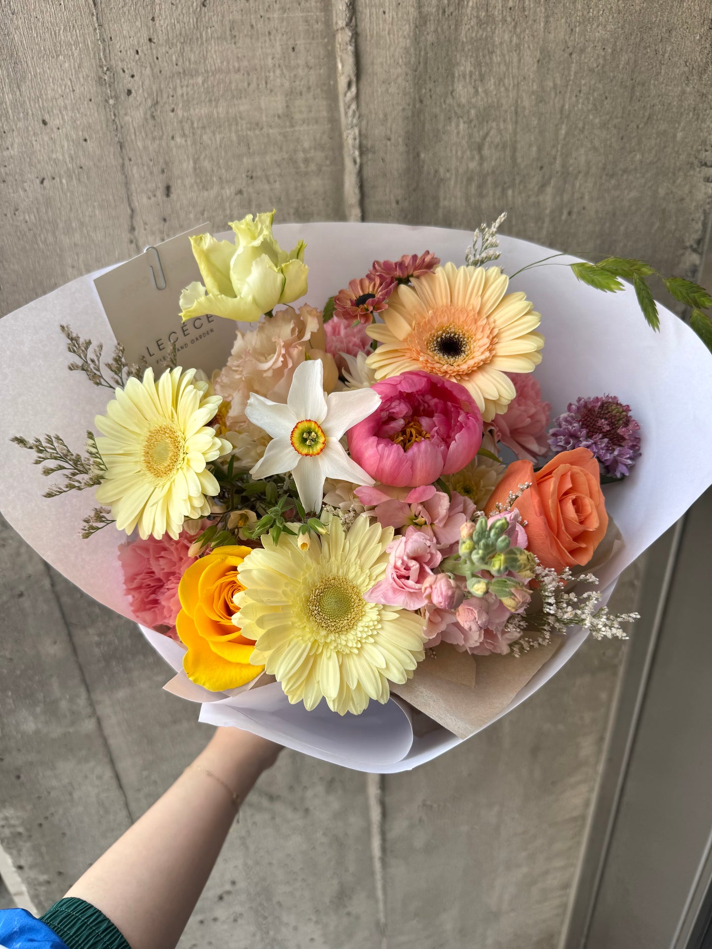 The Cutest | Seasonal Bloom