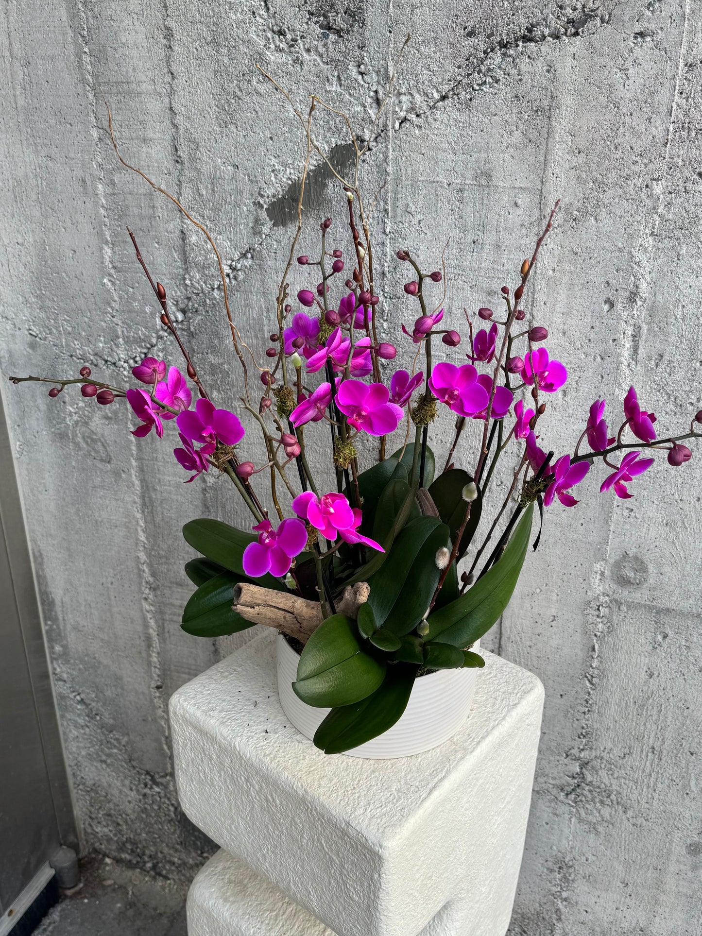 Enchanted Purple