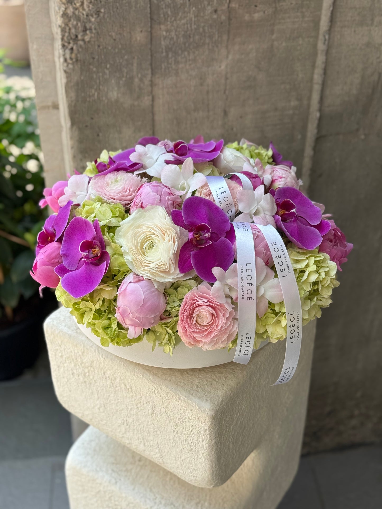Petal de Rêve