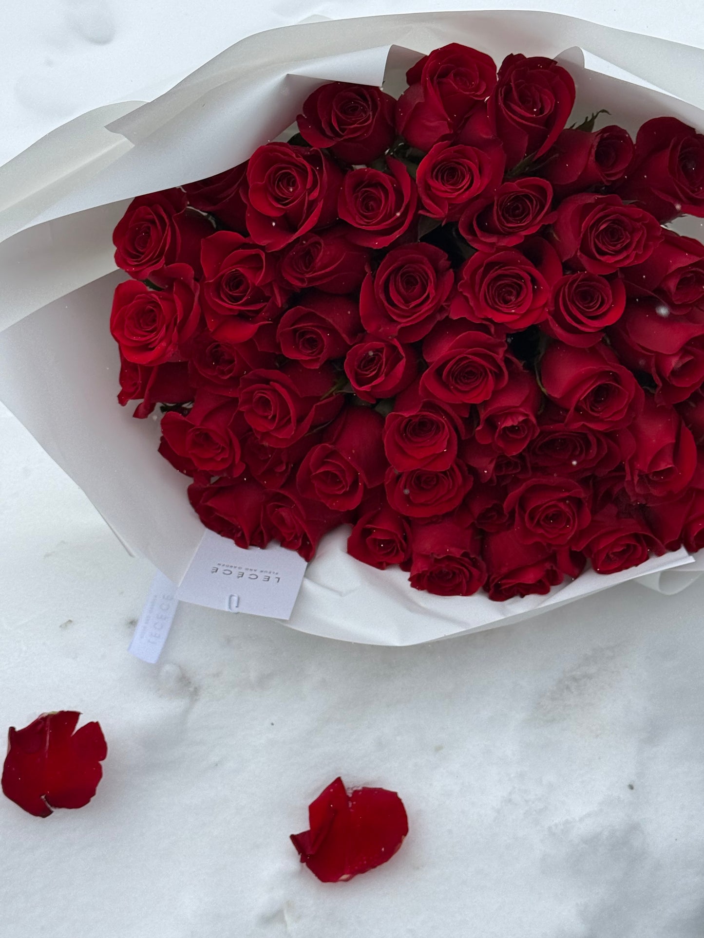 50 Premium Roses