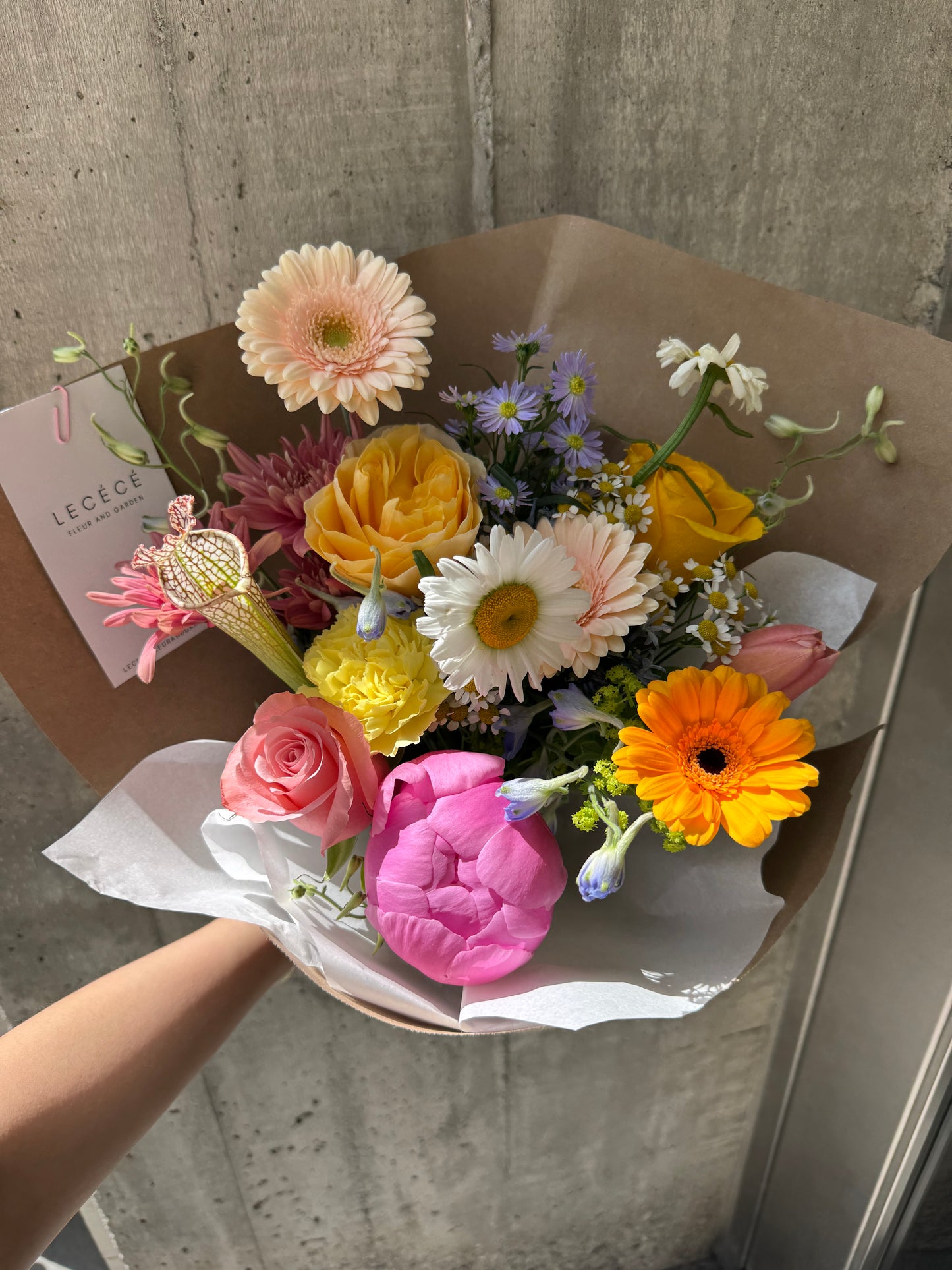 The Cutest | Seasonal Bloom