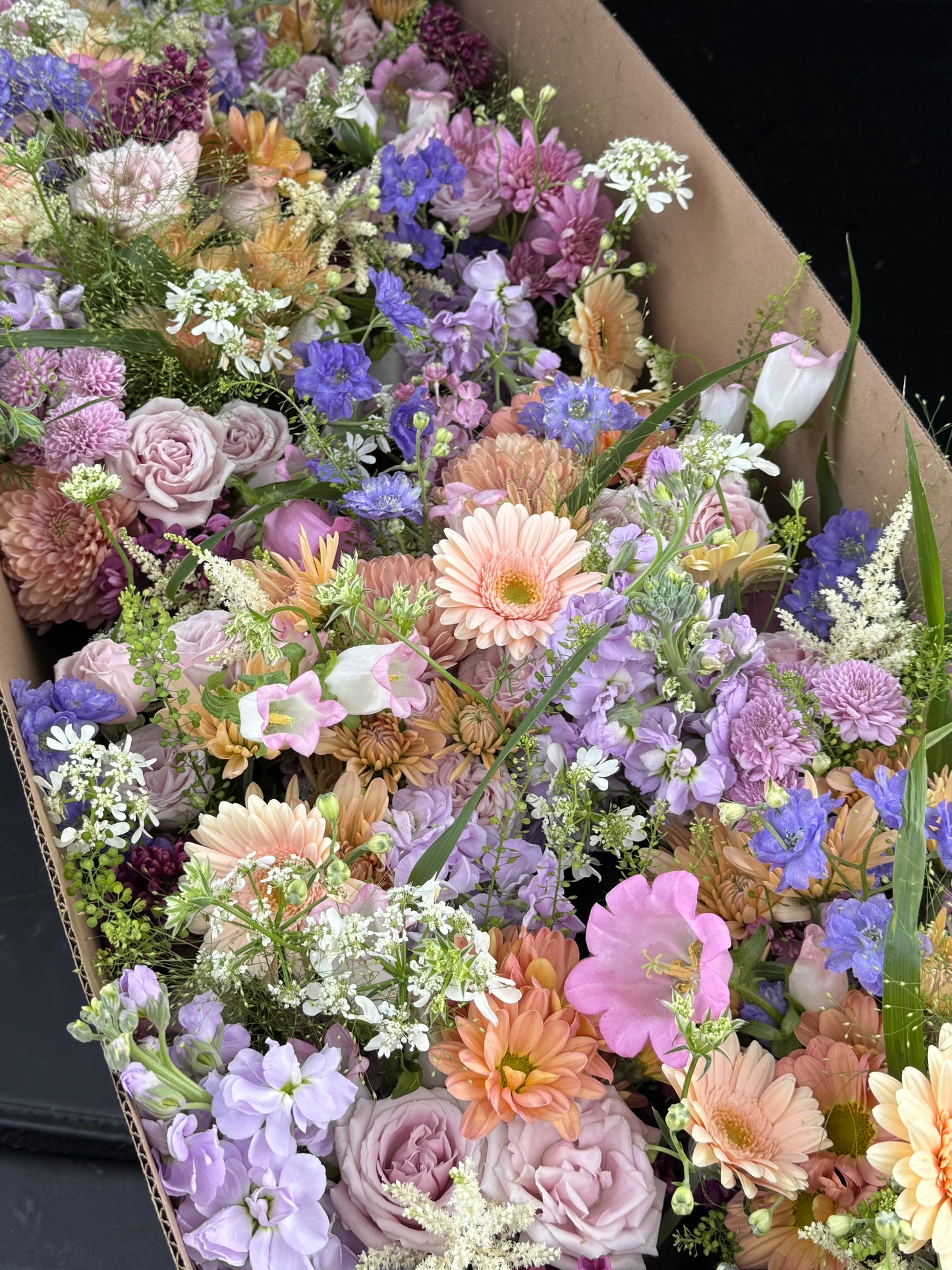 Mason Jar Bloom