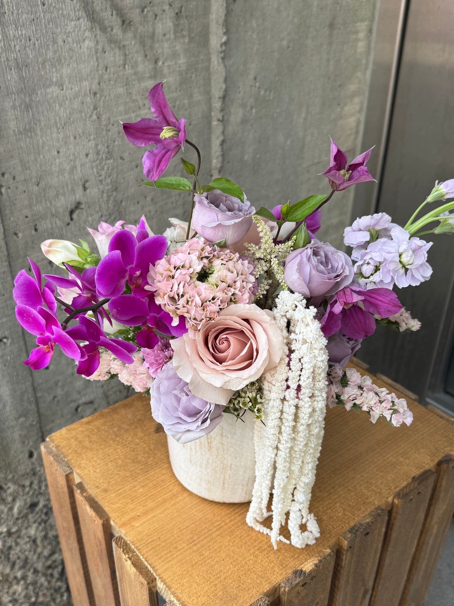 Lilac Rhapsody
