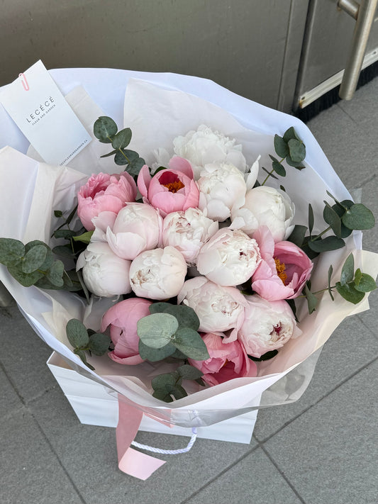 Peony Love