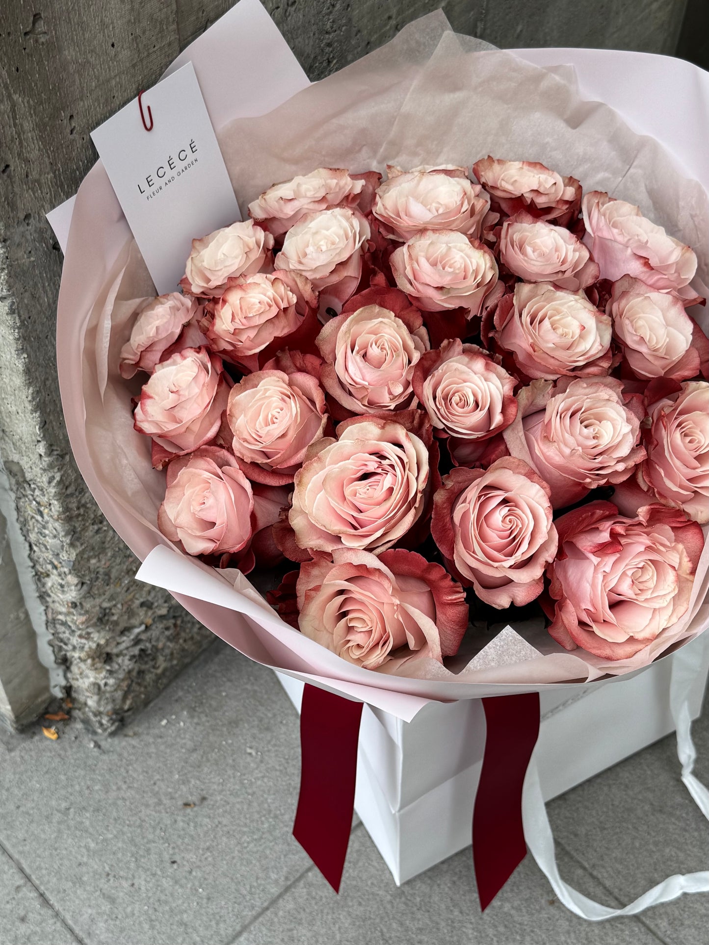 Blush Velvet