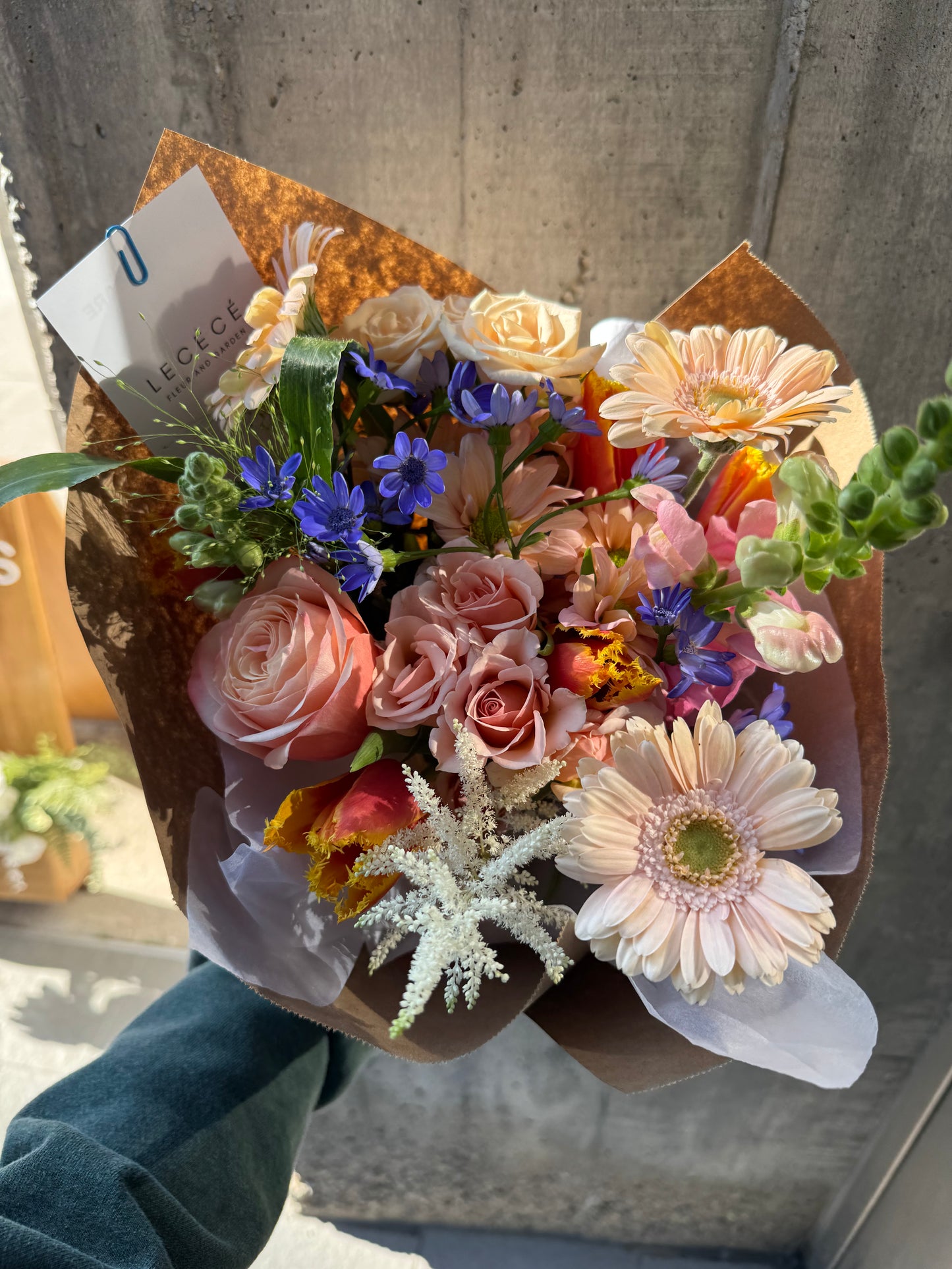 The Cutest | Seasonal Bloom