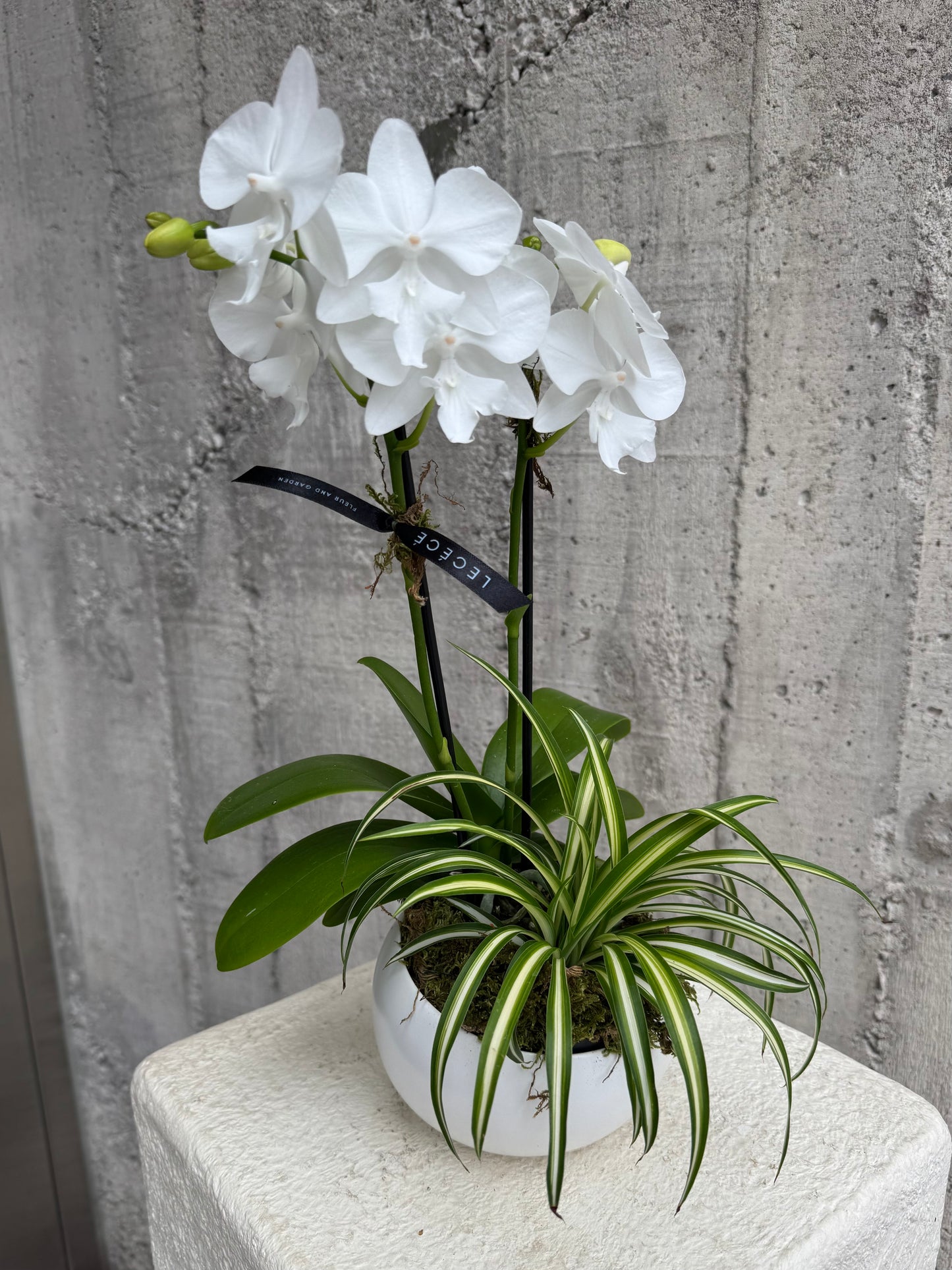 White Eco