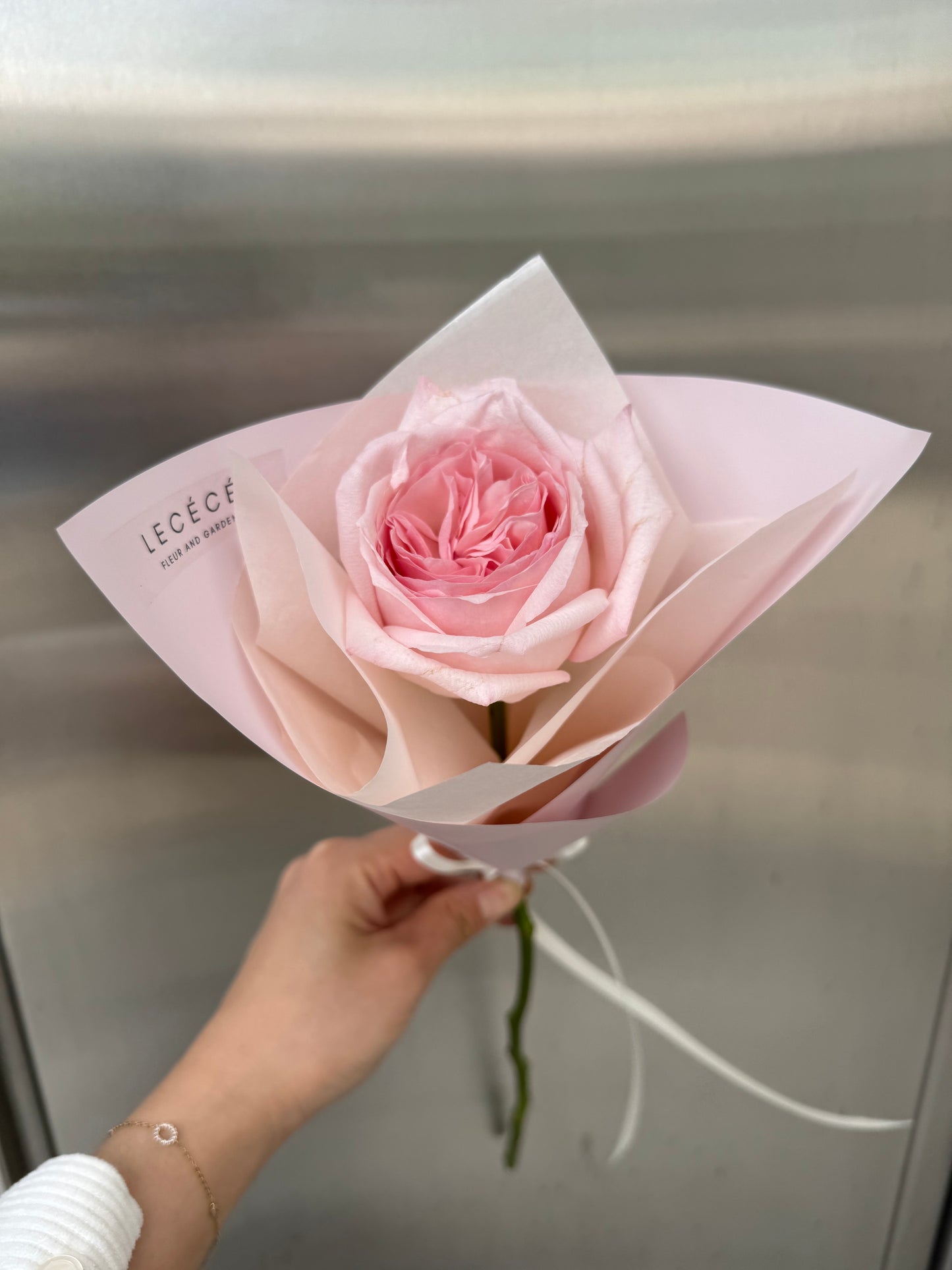 Fresh Single Rose