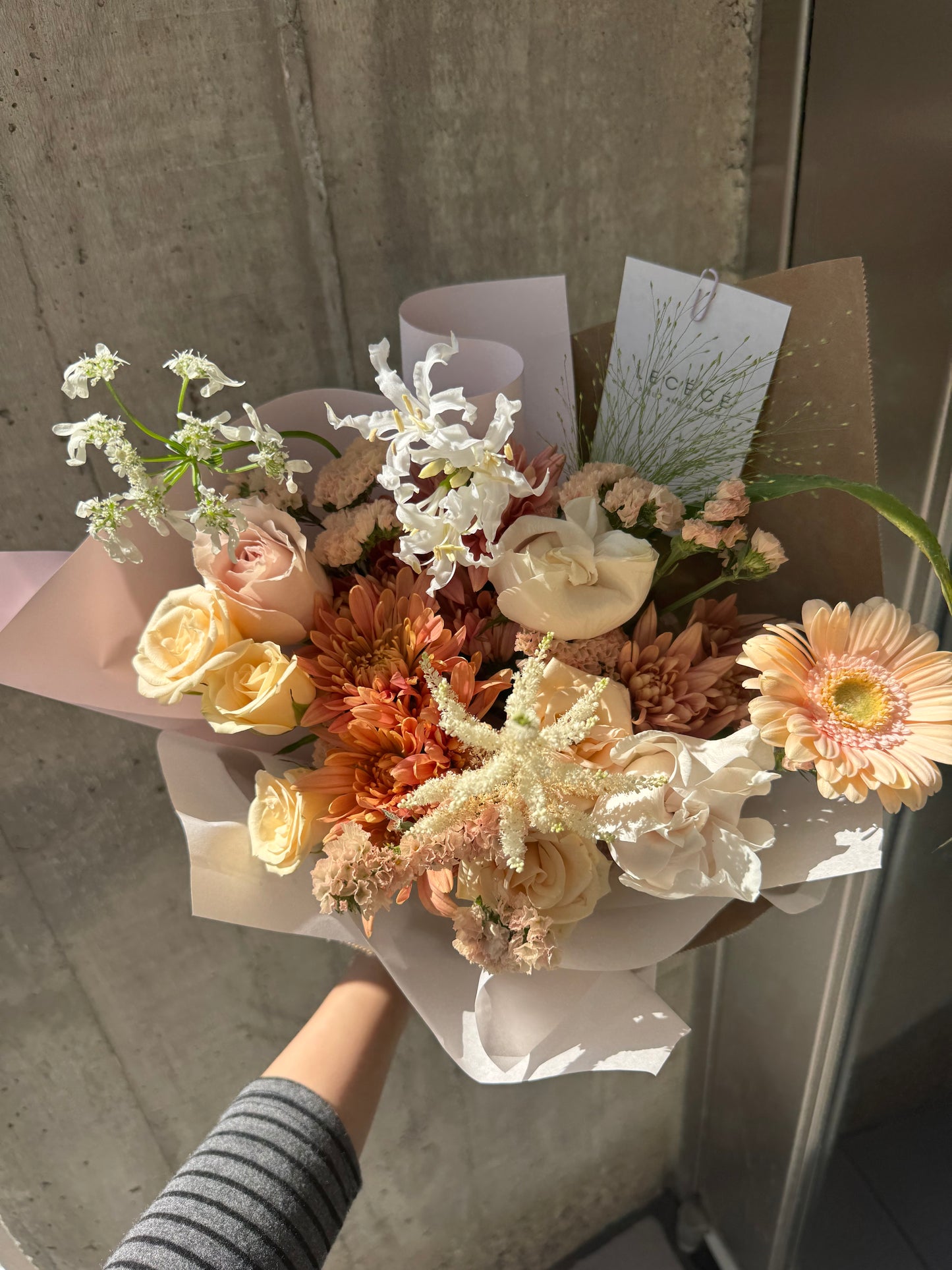The Cutest | Seasonal Bloom