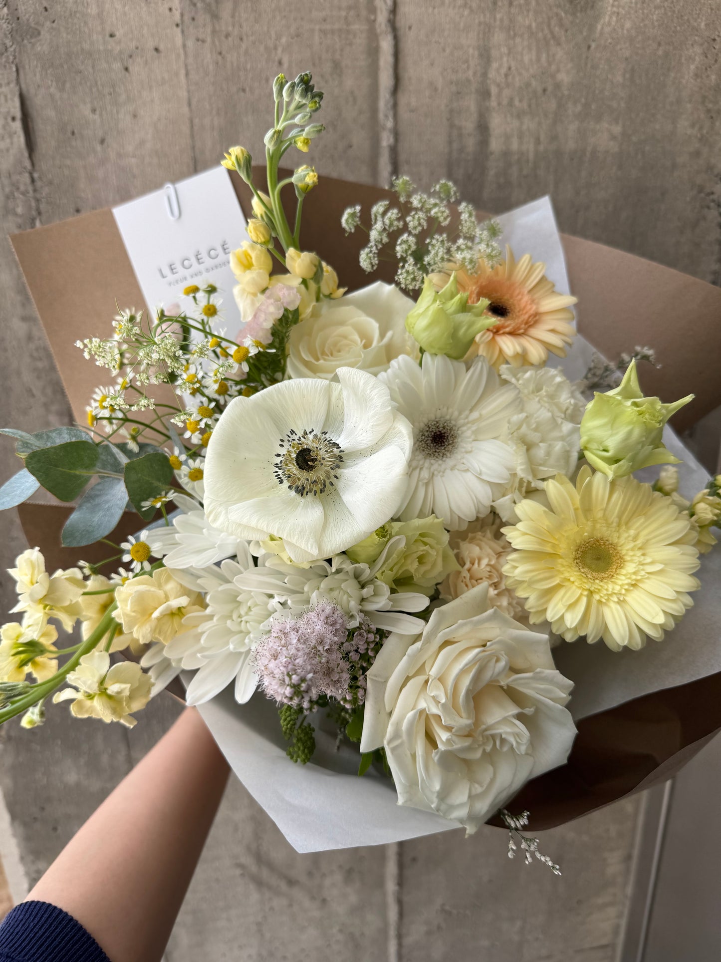 The Cutest | Seasonal Bloom