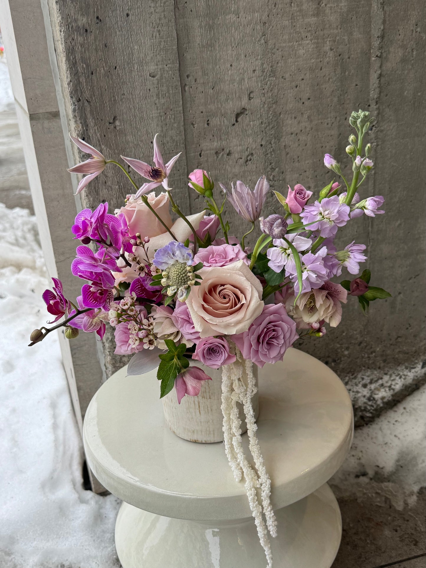 Lilac Rhapsody