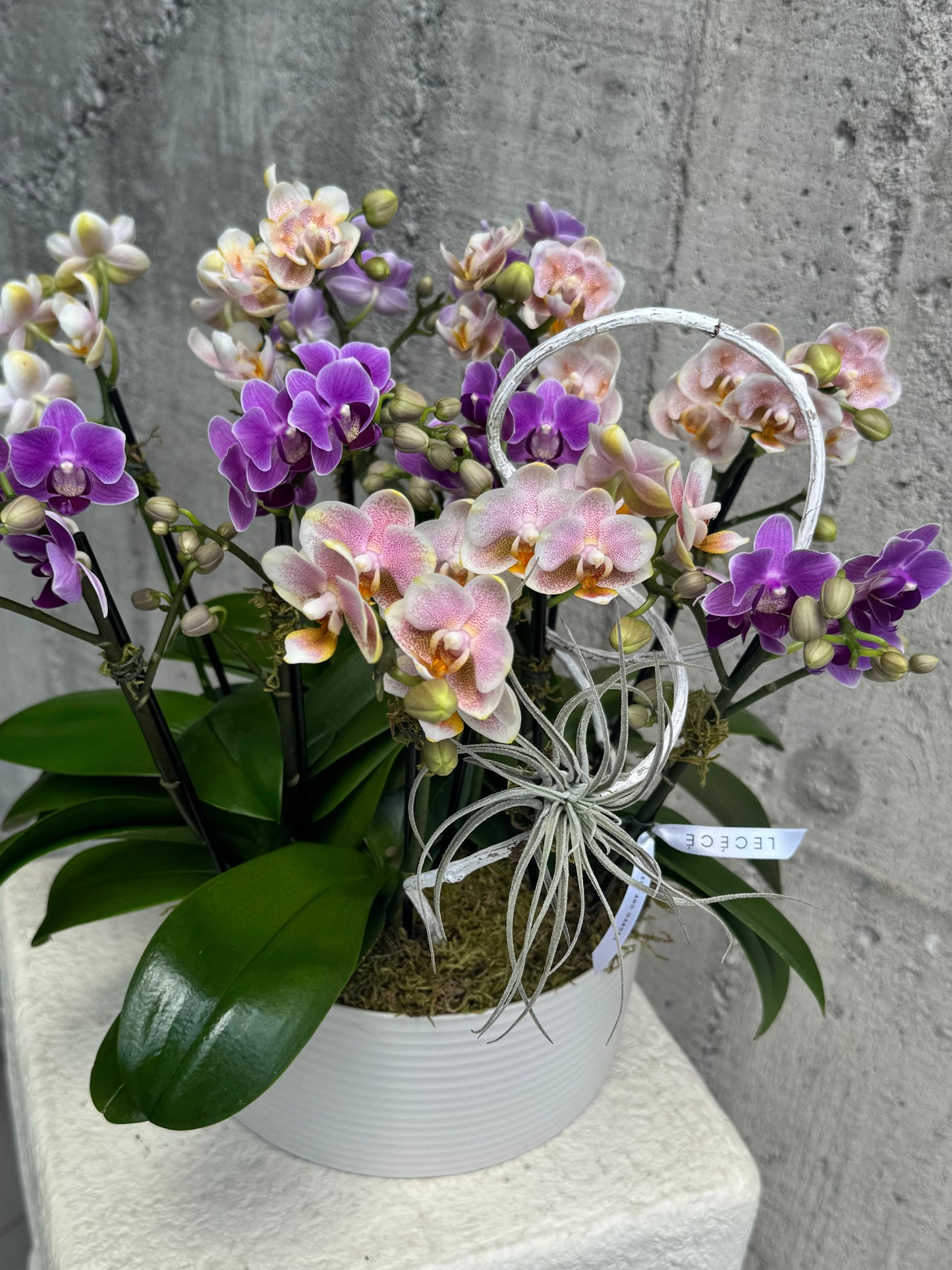 Opaline Charm