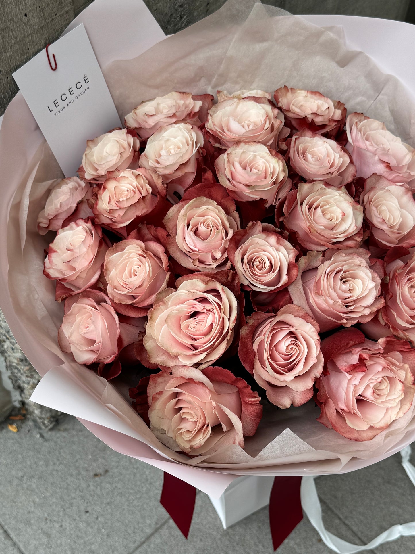 Blush Velvet