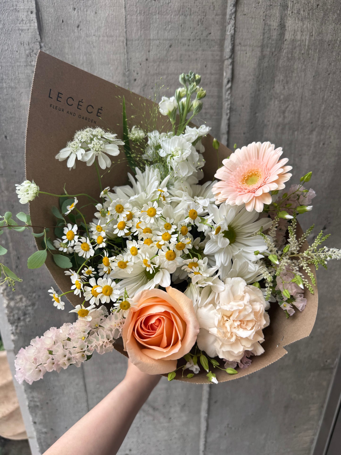 The Cutest | Seasonal Bloom