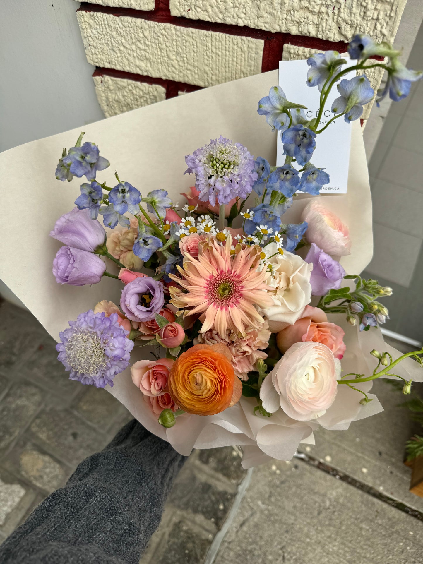 Pastel Mood