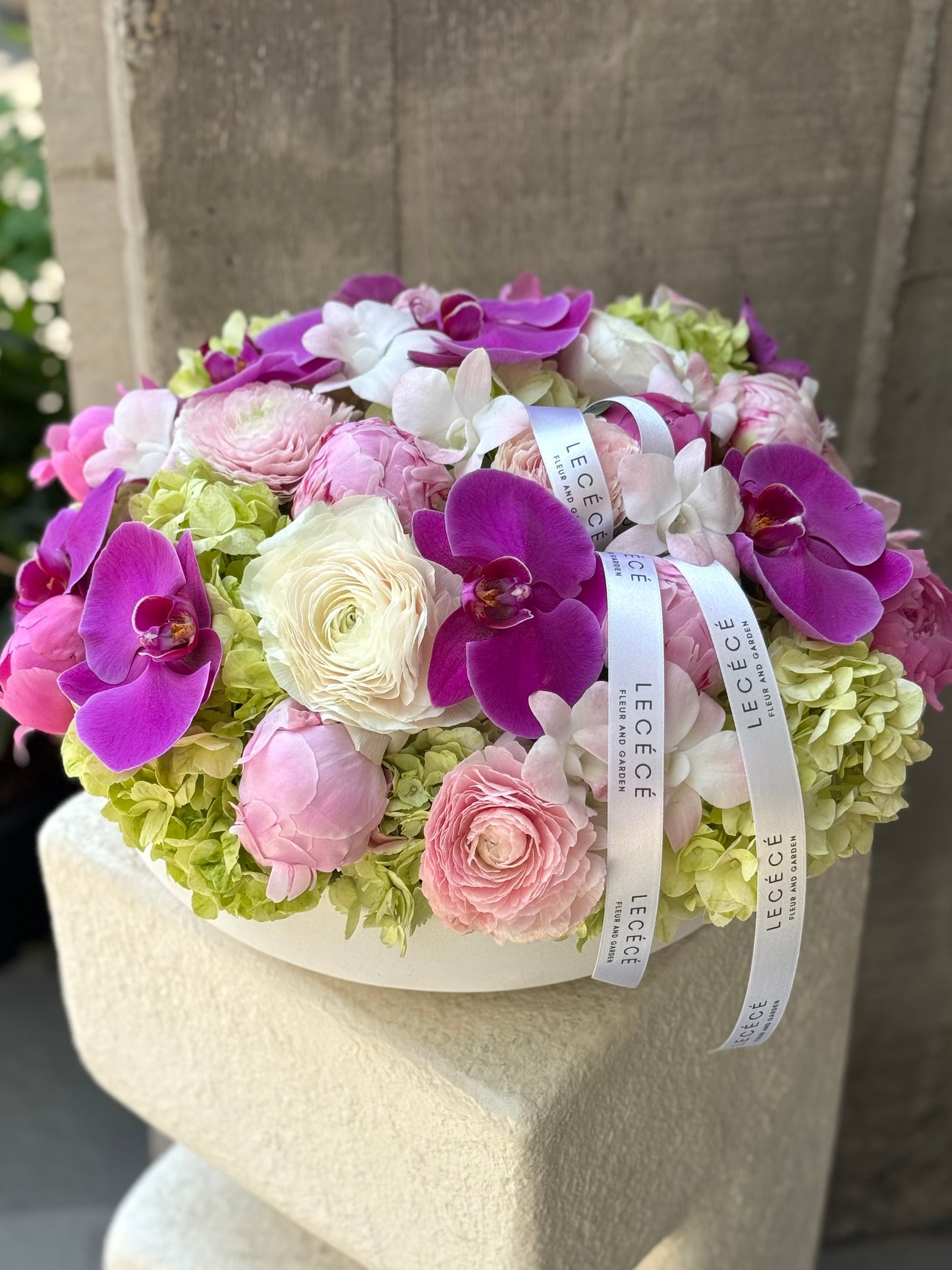 Petal de Rêve
